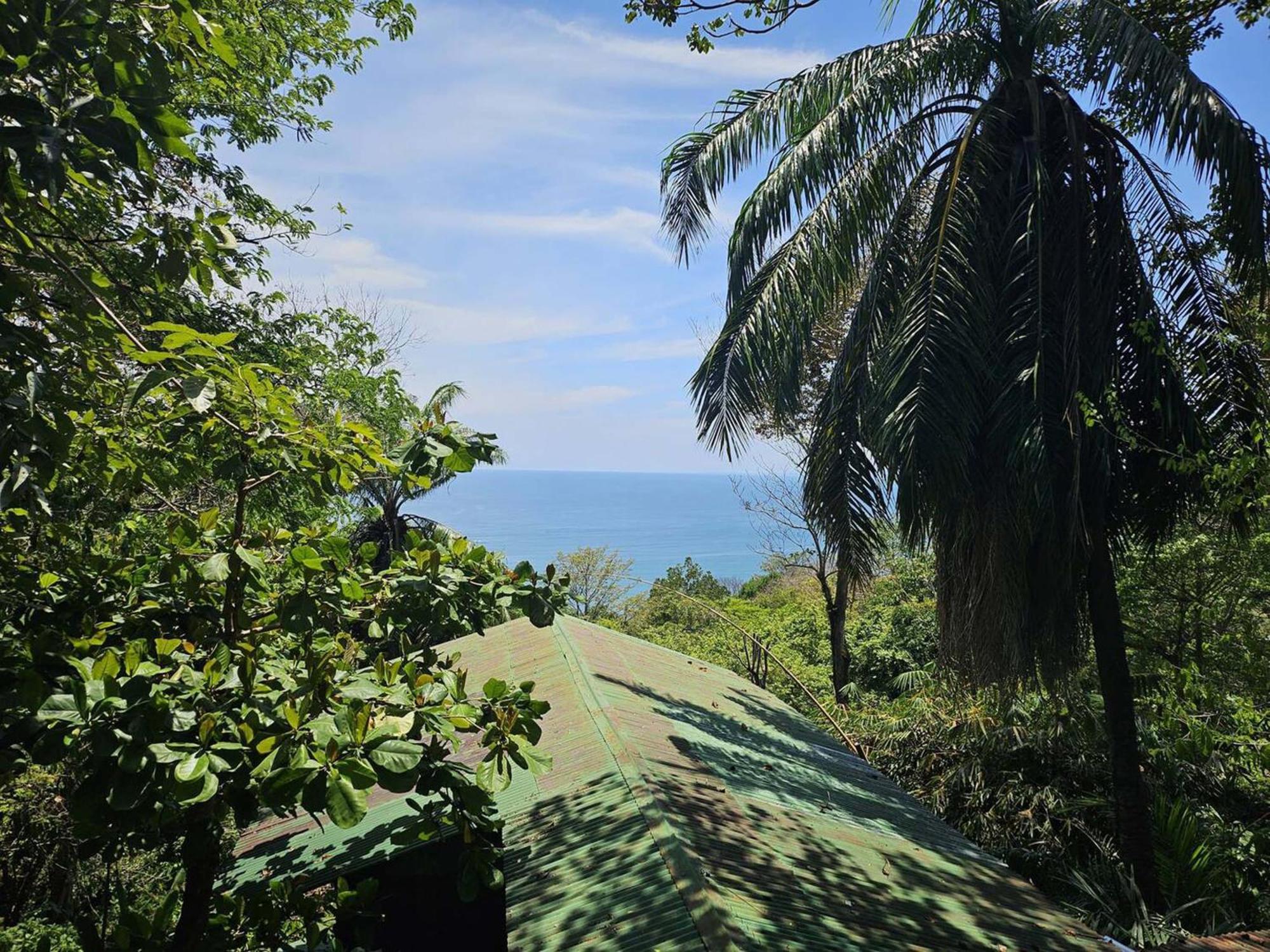 Mango Moon Villa Manuel Antonio Bagian luar foto